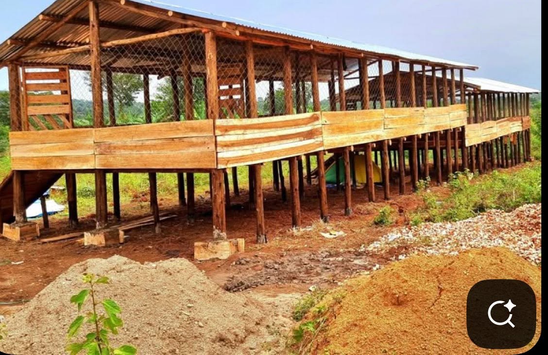 Livestock Facilities
