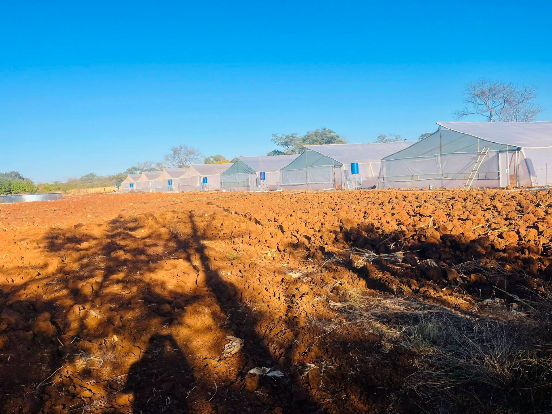 Freshly tilled field beside greenhouses